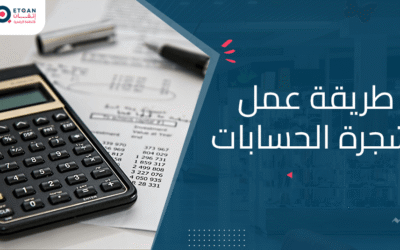 طريقة عمل شجرة الحسابات: بناء هيكل تنظيمي للحسابات المالية